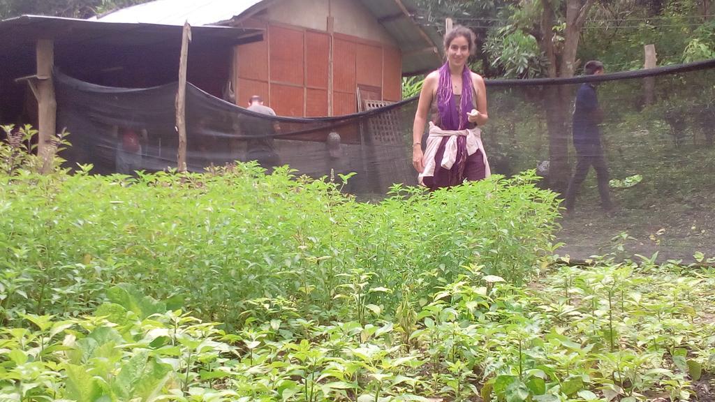 The Local Story Resort Ban Mon Talaeng Extérieur photo